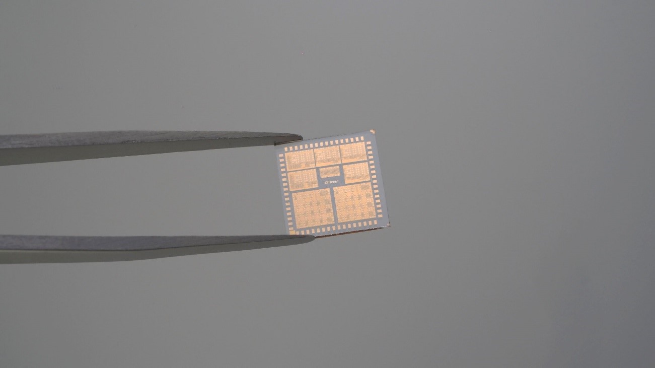 Image of a FlexiiC chip.